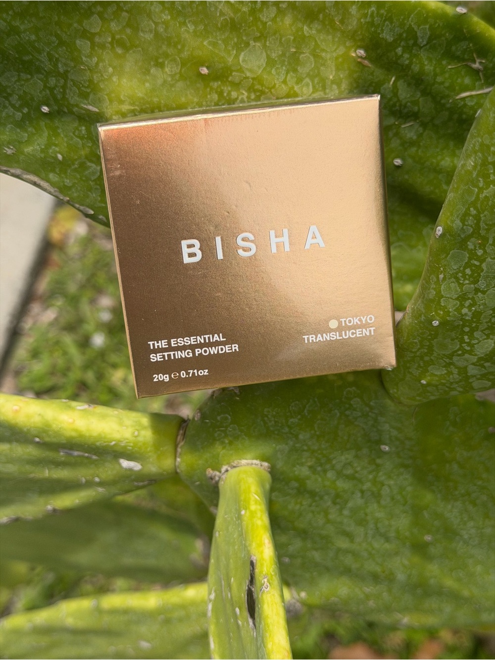 BISHA Essential Loose Setting Powder In Tokyo Translucent - Picture 7 of 8